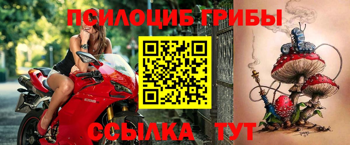 Галлюциногенные грибы MAGIC MUSHROOMS Печора