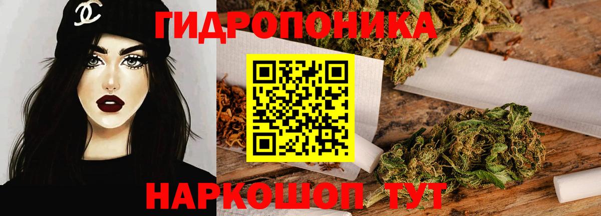 Печора  Канабис сатива  МАРИХУАНА планчик  Канабис OG Kush  Вход с VPN 